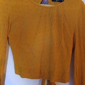 Elegant Mustard Crop Top